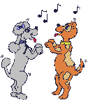 dog and cat dance